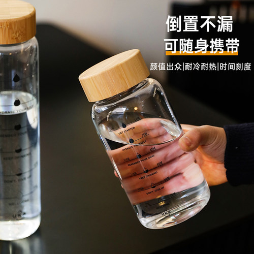 舍里高硼硅玻璃茶水分离水杯夏日