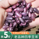 红饭豆 四季 红花芸豆 大凉山农家花豆花腰豆 红花豆2025年新货 豆