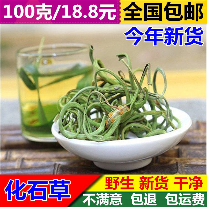 化石草100g克包邮新货特级中草药化石草肾精草肾精茶溶石茶排性石