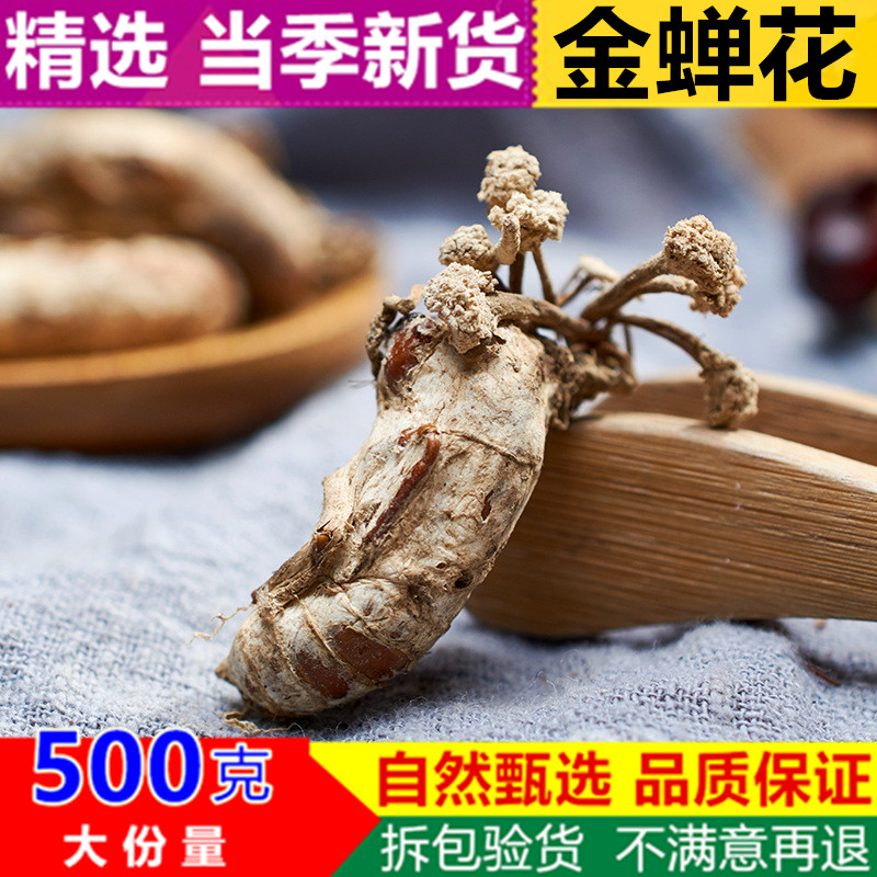 正品 金蝉花 新货蝉花500g克包邮正宗虫草花蝉菌蝉蛹草蛹茸干货