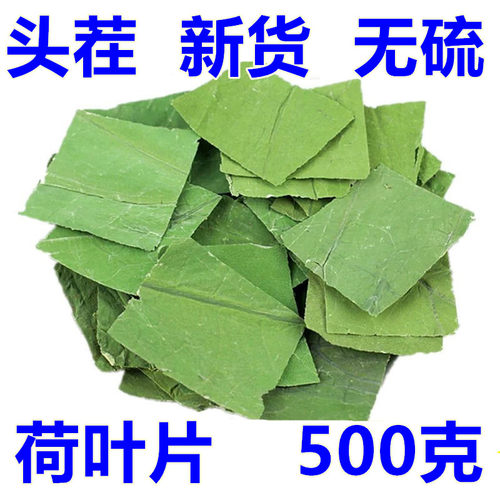 新鲜荷叶茶徽山湖荷叶片干货泡茶