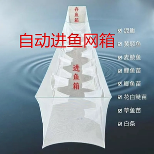 自动进鱼新款网箱小鱼网布泥鳅黄骨鱼苗麦鲮鱼多种鱼苗笼多口进入