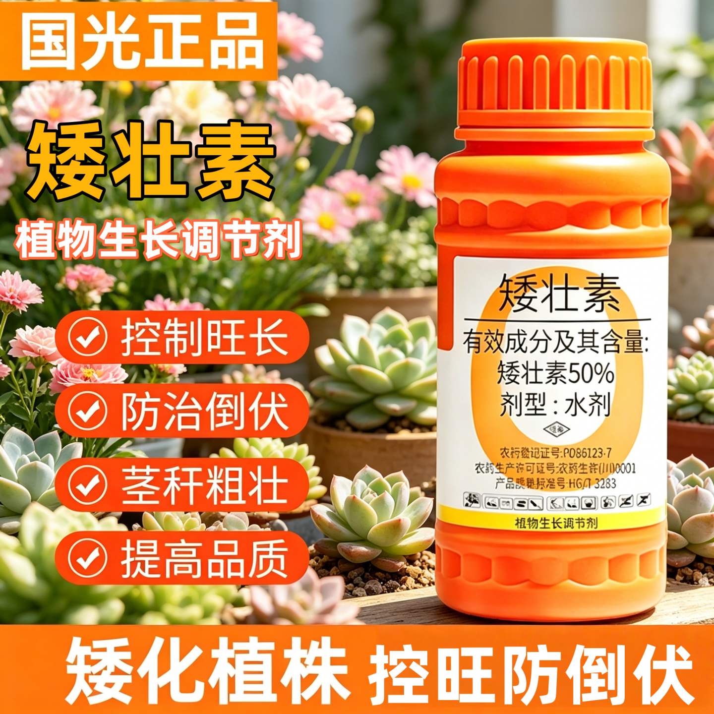 国光矮壮素花卉多肉专用矮壮剂水仙菊花通用壮矮素植物生长调节剂