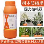 国光植根源萘乙酸女贞香樟落花果防杨梅芒果结果抑制火棘紫薇结籽