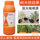 国光植根源萘乙酸女贞香樟落花果防杨梅芒果结果抑制火棘紫薇结籽