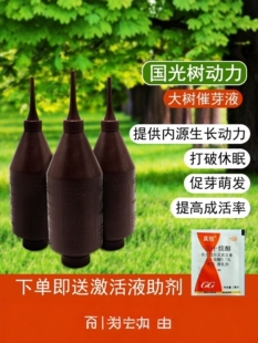 国光树动力大果树专用黄化打吊针袋营养液输液管吊水瓶打针注射器