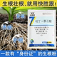 森活快胜跟吲丁荼乙酸植物生长调节剂吲哚丁酸引丁萘乙酸生根剂粉