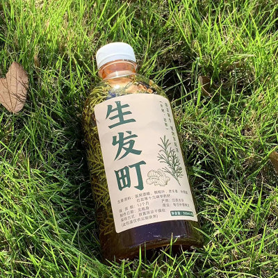 鲜侧柏叶泡酒精生姜骨碎补红花护发长发液侧柏叶材止脱生发养发水