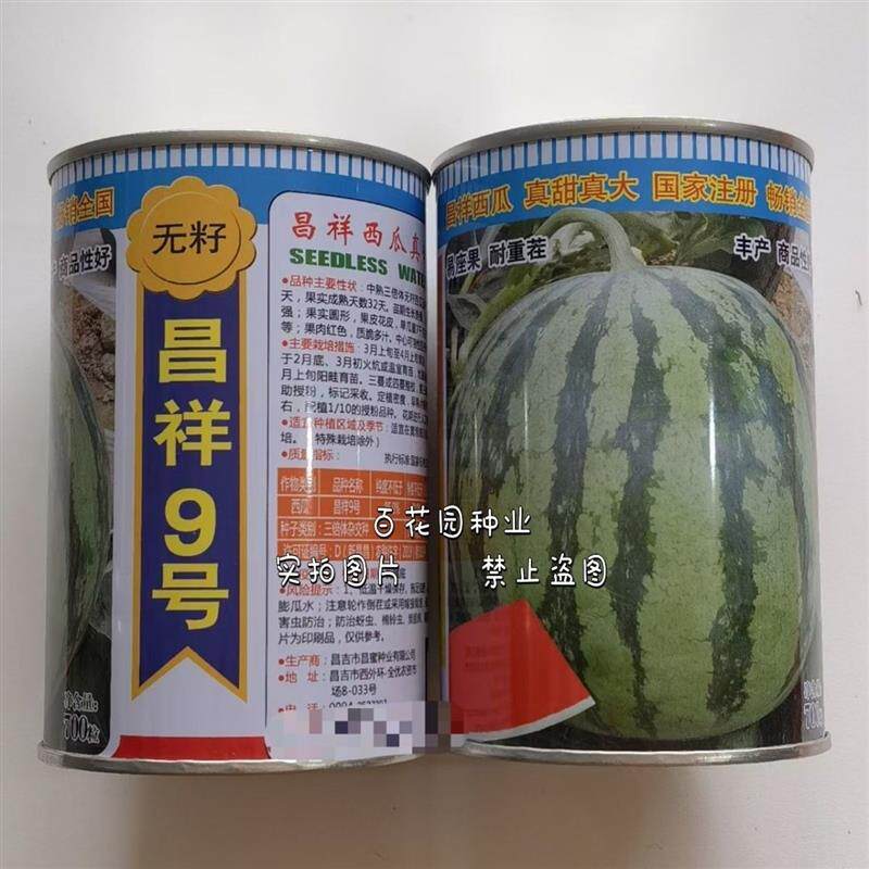 昌祥9号西瓜种子麒麟西瓜种子7家庭园艺种子