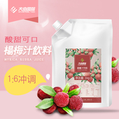 大由国际杨梅汁石榴哈密瓜芭乐山楂浓缩专用餐饮饮料夏日冲剂饮品
