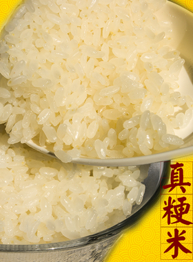 大米5kg 10斤新米2025南粳46米鲜香梗米鲜米珍珠米油粘米正宗粳米