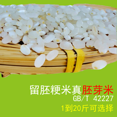 胚芽米大米香粳米煮饭熬粥留胚米