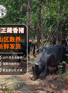 藏香猪三斗米湖北特产猪肉冷冻