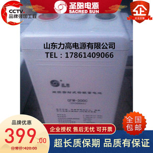 圣阳蓄电池GFM-300C太阳能发电生产后备电池2V300AH船舶EPS蓄电池