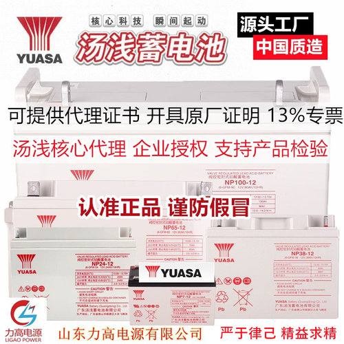 【只此一家】YUASA/汤浅蓄电池√