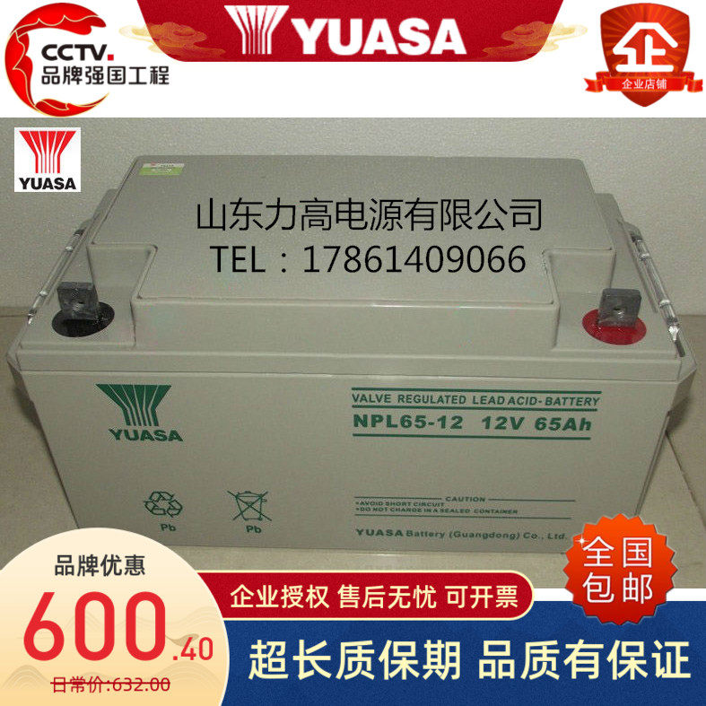 YUASA汤浅蓄电池 NPL65-12后备直流屏UPS电池12V65AH长寿命蓄电池