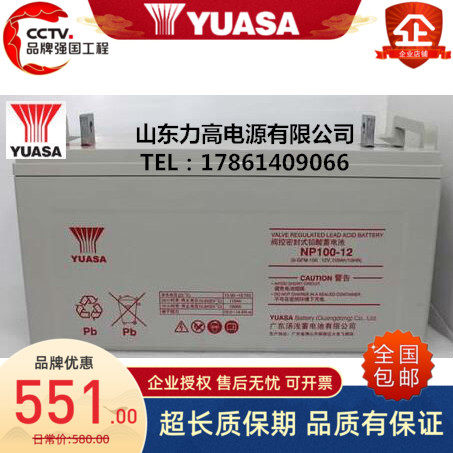 汤浅蓄电池YUASA 12V100AH太阳能电池 NP100-12机房直流屏UPS电池
