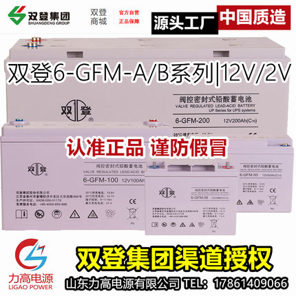双登蓄电池 6-GFM-100B/12V100Ah/12伏26a65a38a24a150AH安时铅酸