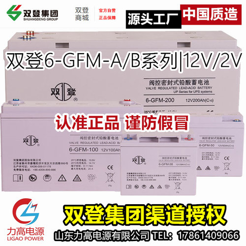 【官方店铺】渠道授权双登蓄电瓶