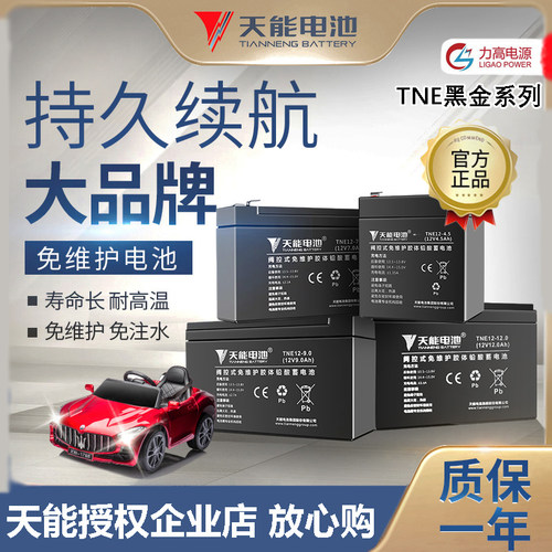 天能电瓶12V黑金系列铅酸蓄电池