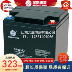 圣阳蓄电池SP12-42设备EPS机柜12V42AH后备UPS不间断电源铅酸电池
