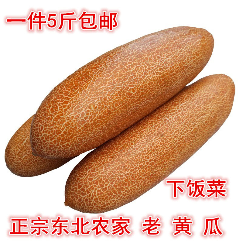 东北特产老黄瓜农家自种新鲜蔬菜炖汤凉菜麻皮农产品一件5斤包邮