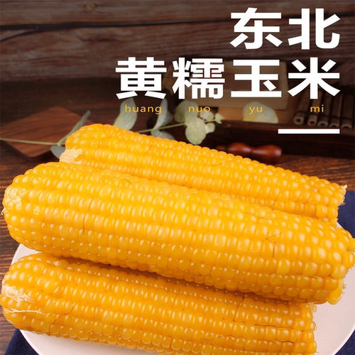 今年东北新鲜速冻粘玉黄粘糯玉米