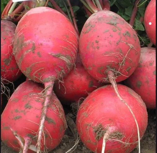 ��������ܲ� ��Ƥ���Ĵ����Բ�ܲ�����ũ�Ҵ����������5�����