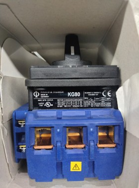 KG80 T303/SGZ621E  Kraus&Naimer KG80 T303E KG80 T203/01