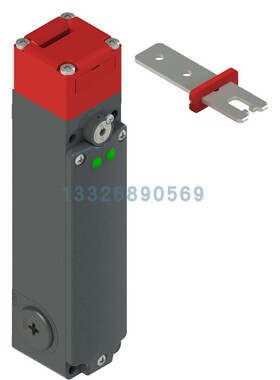 FG 60YD1D0A-F20 Pizzato Elettrica