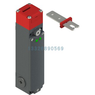 FG 60YD1D0A-F20 Pizzato Elettrica