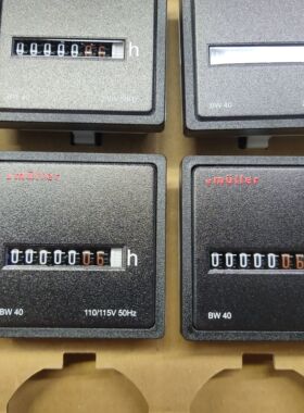 Muller BW40.X8 115V60Hz原装BW40.110V50HZ累时器替换TH1386