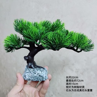 美人松迎客松摆件悬崖飘枝沉水族鱼缸桌面酒店庭院假山造景假松树
