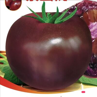 紫蜜桃柿子纯紫色种子大紫柿子番茄种仔