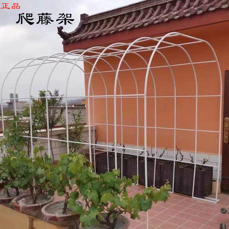 室内简约花架铁艺架子户外葡萄架绿植爬藤架花园拱门支架庭院拱形 蚂蚁园艺道具 淘优券