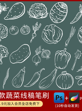 procreate笔刷素材果蔬类绿色食物新鲜蔬菜线稿绘画辅助线ps笔刷