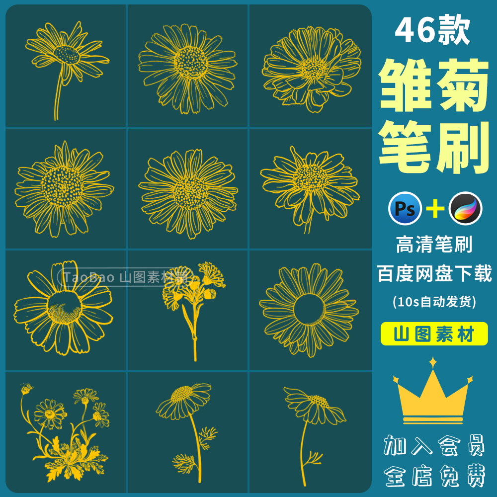 ps笔刷小雏菊野菊花甘菊花朵花卉野花鲜花线稿辅助procreate笔刷