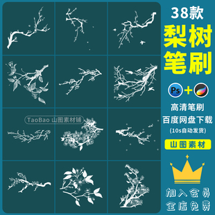 procreate/ps笔刷手绘唯美古风水墨梨花梨树枝条花瓣花卉线稿植物