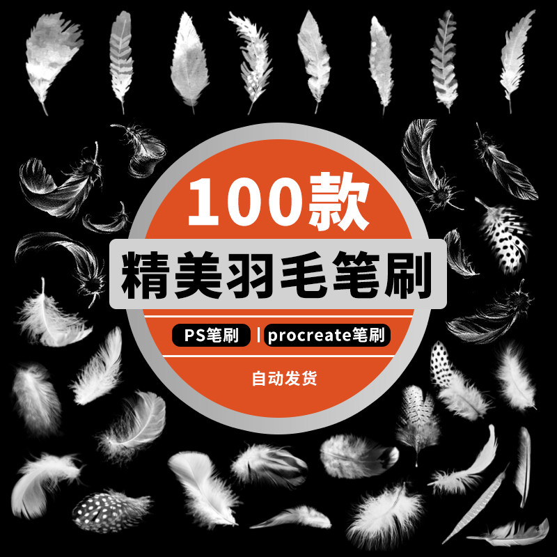 鸟类白色羽毛后期羽毛飘落仙美特效插画ps笔刷素材procreate笔刷