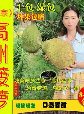 正宗高州本地菠萝蜜干包湿包