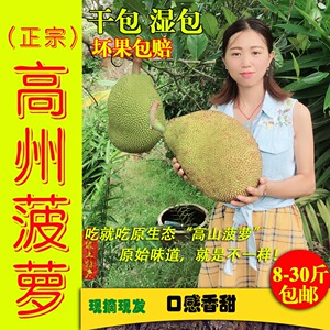 正宗高州本地菠萝蜜干包湿包