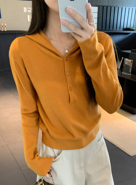 实拍实价韩系连帽针织衫女秋修身毛衣打底衫内搭收腰新款显瘦上衣