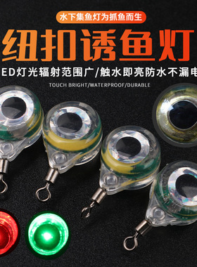 2024鱼眼诱鱼灯 LED水下集鱼器路亚鱼饵灯纽扣诱鱼灯电子诱鱼灯