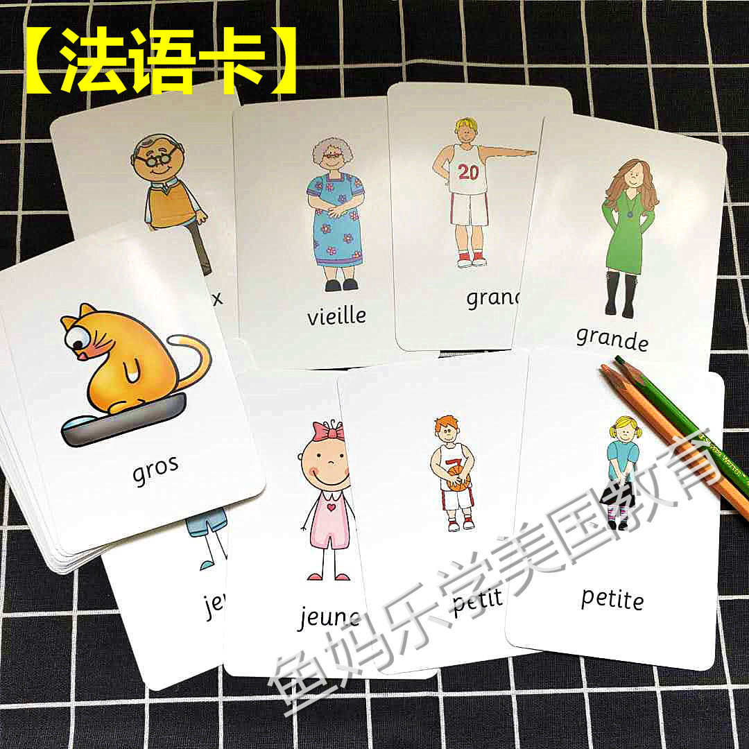 卡通法语启蒙闪卡 【不同词性】单词卡片 赠音频 自学入门教具