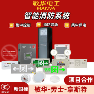 敏华劳士NST消防A型应急照明集中电源应急灯具专用应急电源配电箱