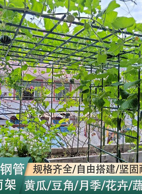 菜地小拱棚种菜专用棚架牢固耐用