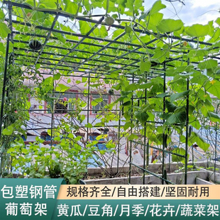 菜棚拱桿菜地小拱棚 種菜棚架 蔬菜棚支架 菜棚支架 種菜專用棚架