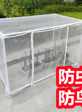植物花卉盆网罩防鸟防虫防猫保护
