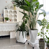 可移动花盆托盘带轮万向轮滚底座轮承重植物托架铁艺方形花托滑轮