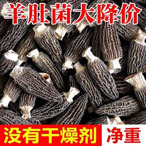 云南羊肚菌干货精选煲汤食材农家特产非野生滋补养生菇类干货批发